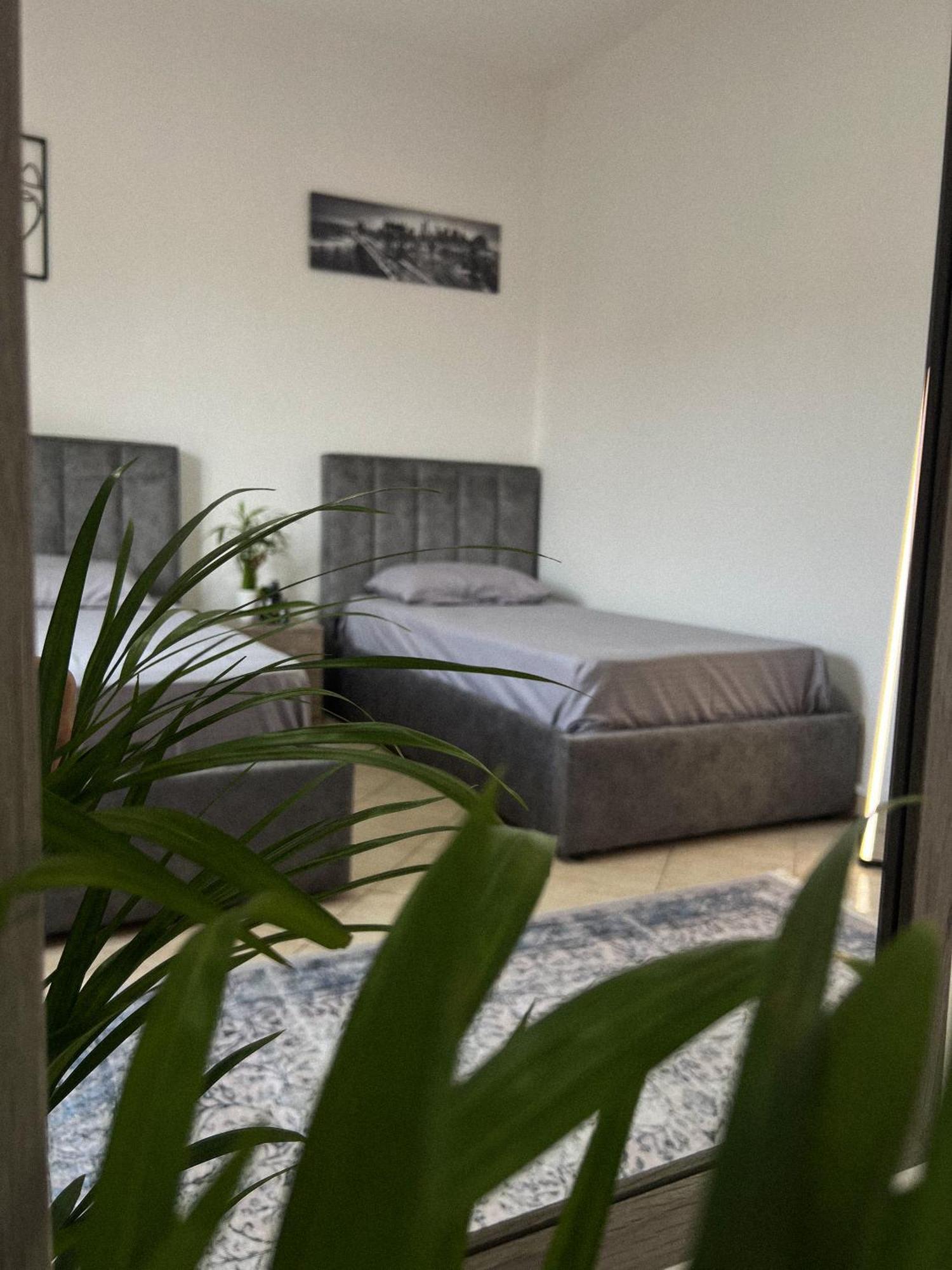 Hostel By Fenix Tirana Kültér fotó